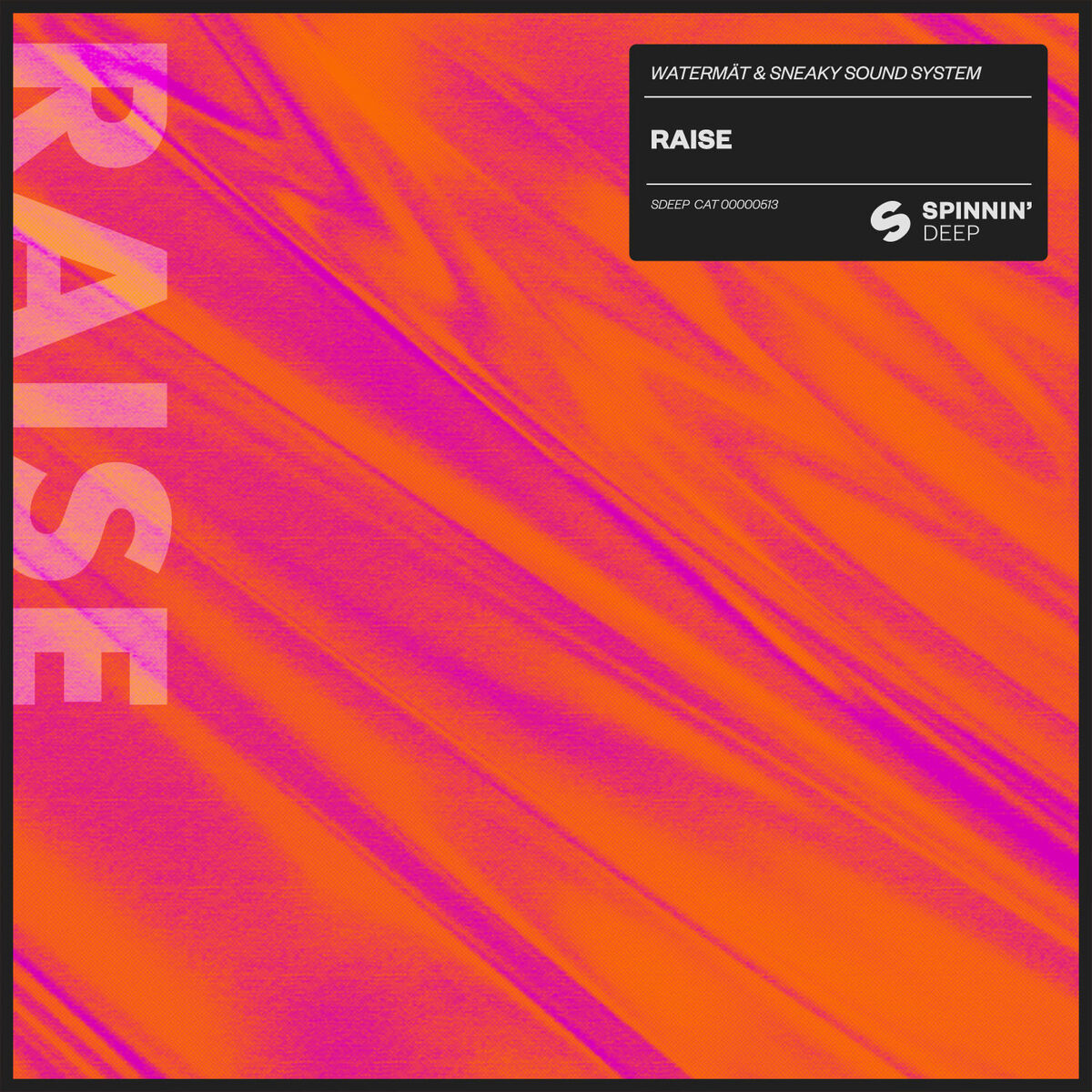 Album cover of Raise