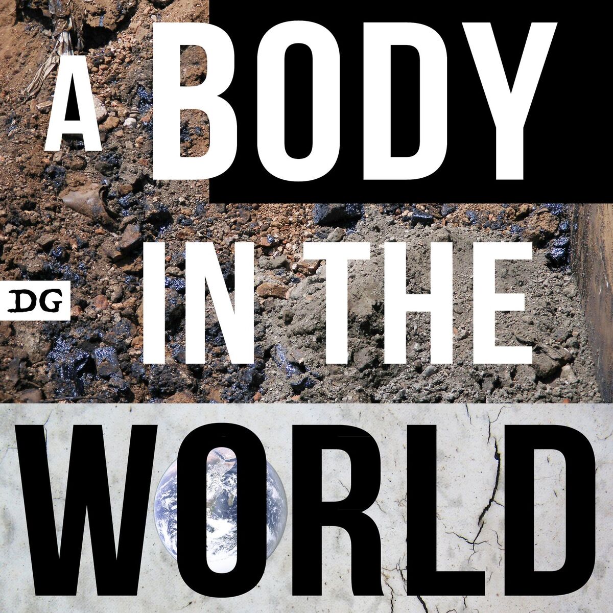 Album cover of A Body in the World