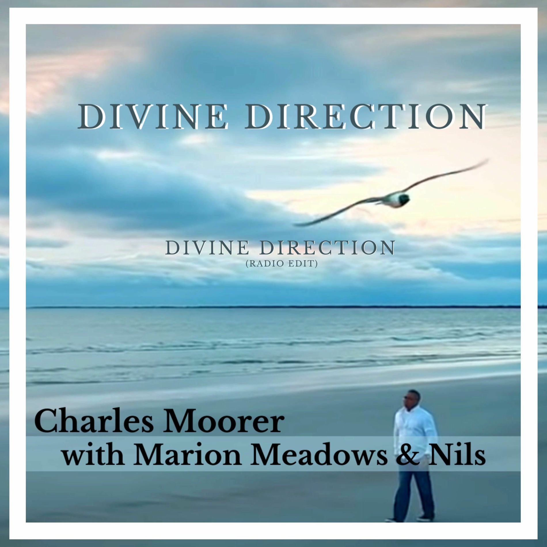 Album cover of Divine Direction (Instr) (radio edit)