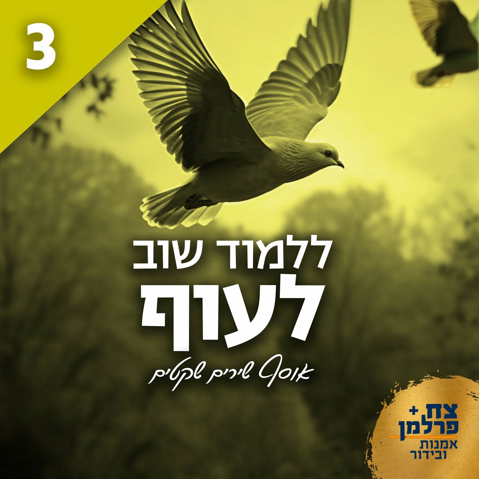 Album cover of ללמוד שוב לעוף 3 (אוסף שירים שקטים)