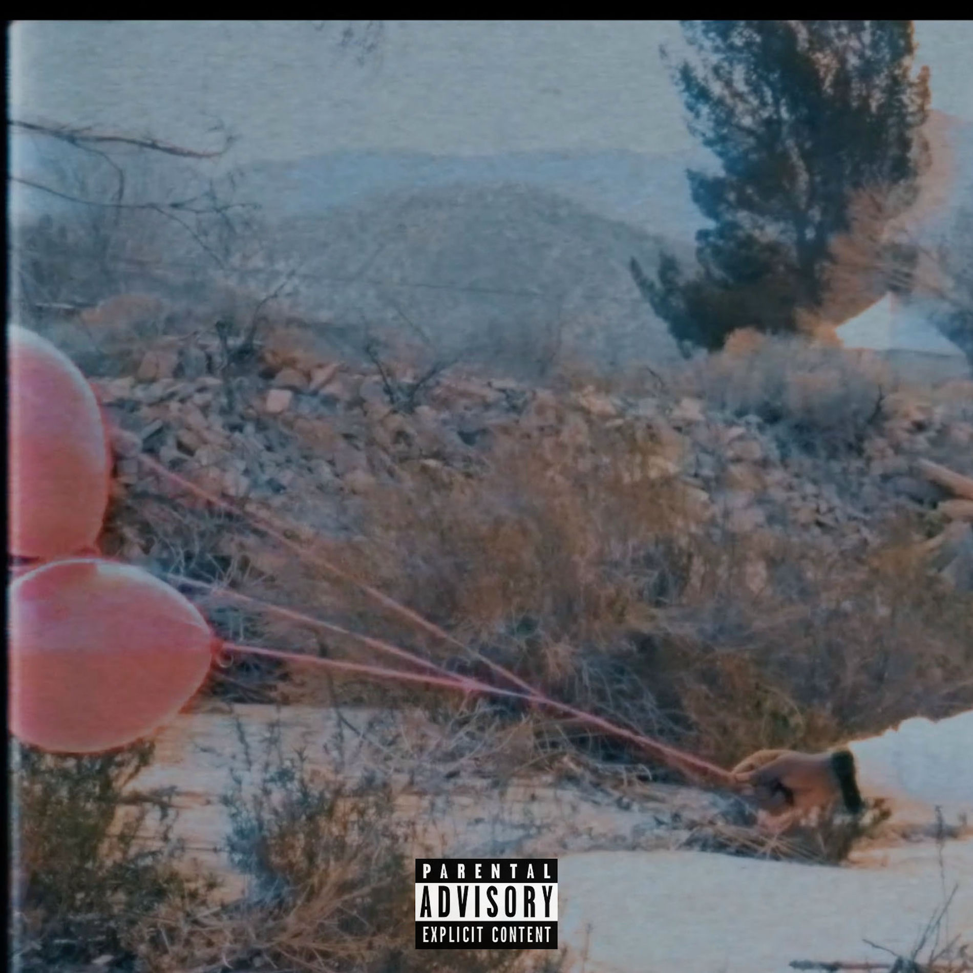 Album cover of Scanner