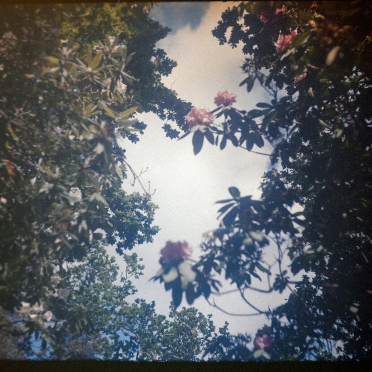 Album cover of Non-Dualism