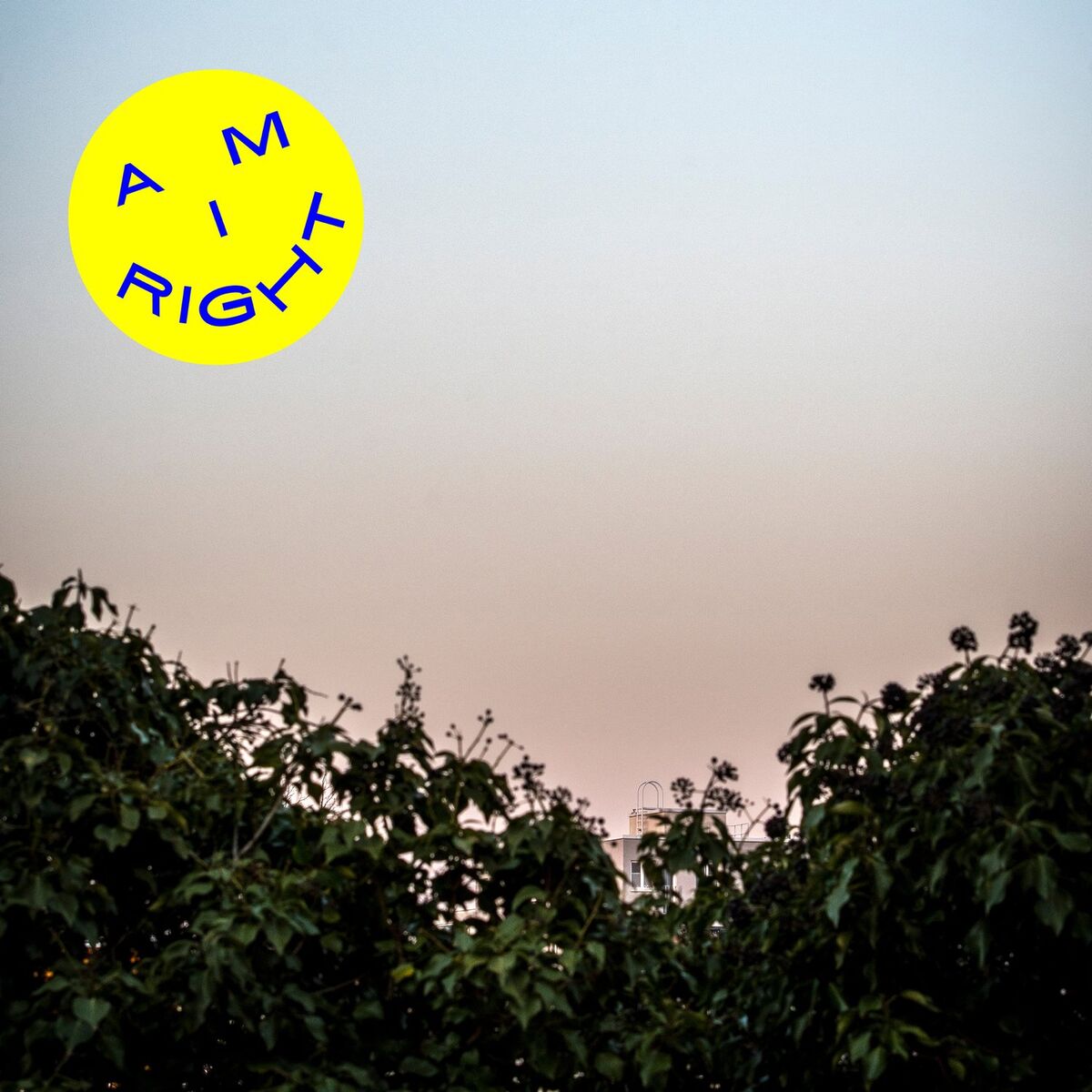 Album cover of Am I Right