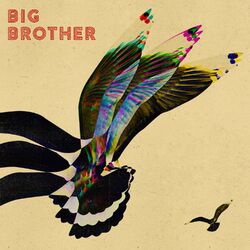 Cover of Big Brother