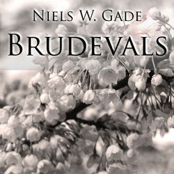 Cover of Brudevalsen