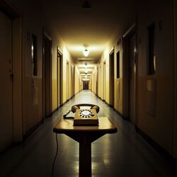 Cover of Téléphone
