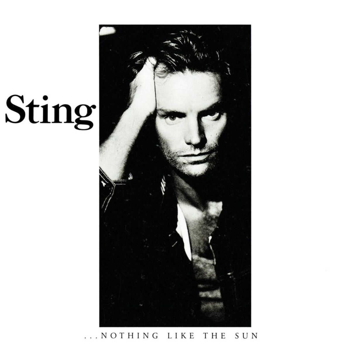 Album cover of Englishman In New York