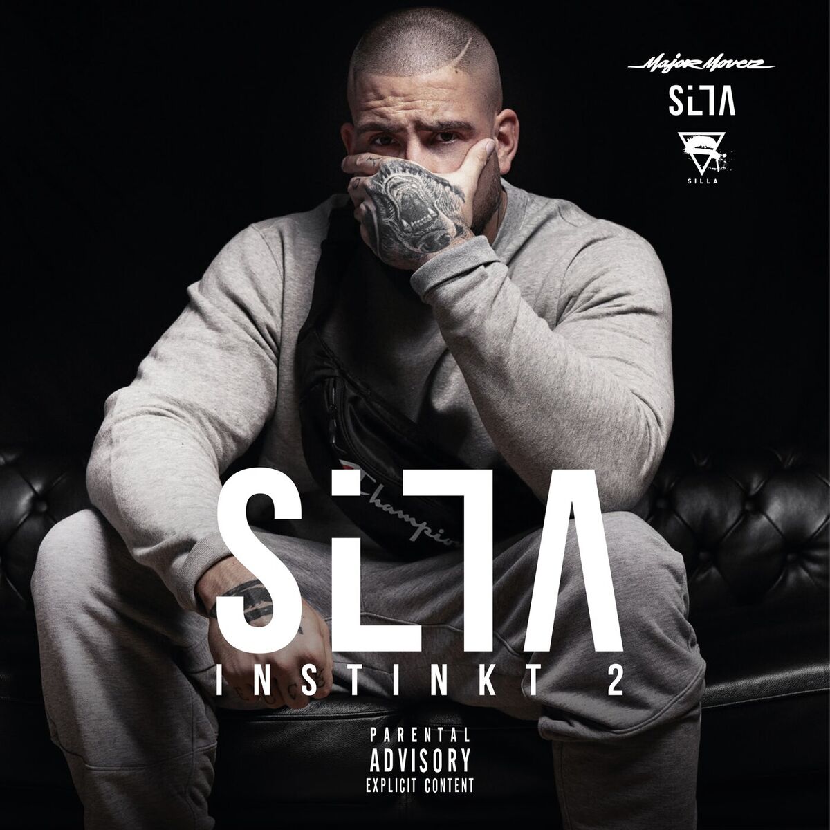 Album cover of Silla Instinkt 2