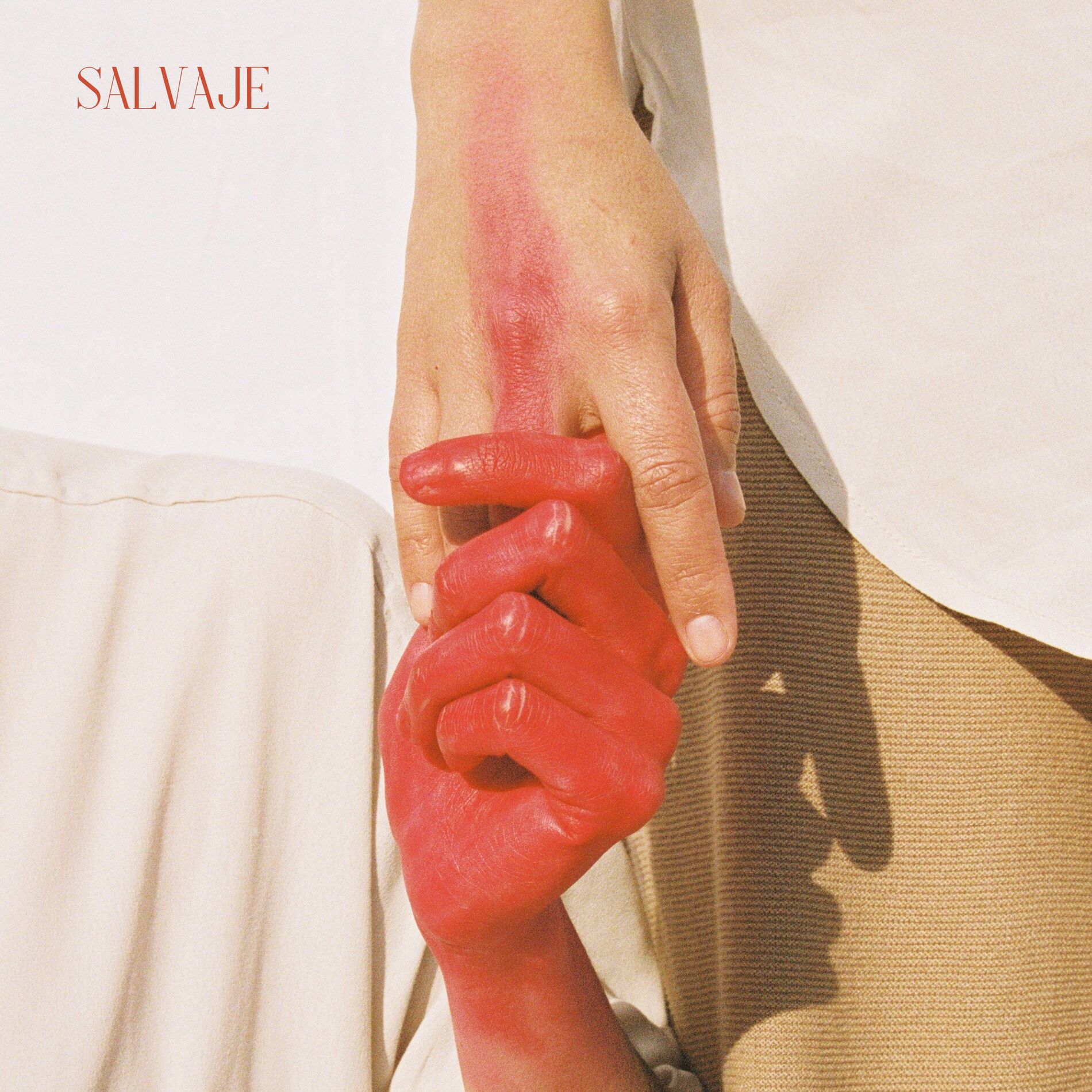 Album cover of Salvaje