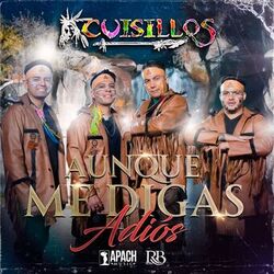 Cover of Aunque Me Digas Adiós