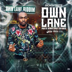 Cover of Own Lane