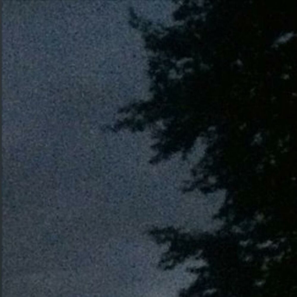 Picture of Try Me