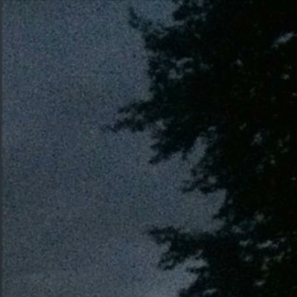 Album cover of Try Me