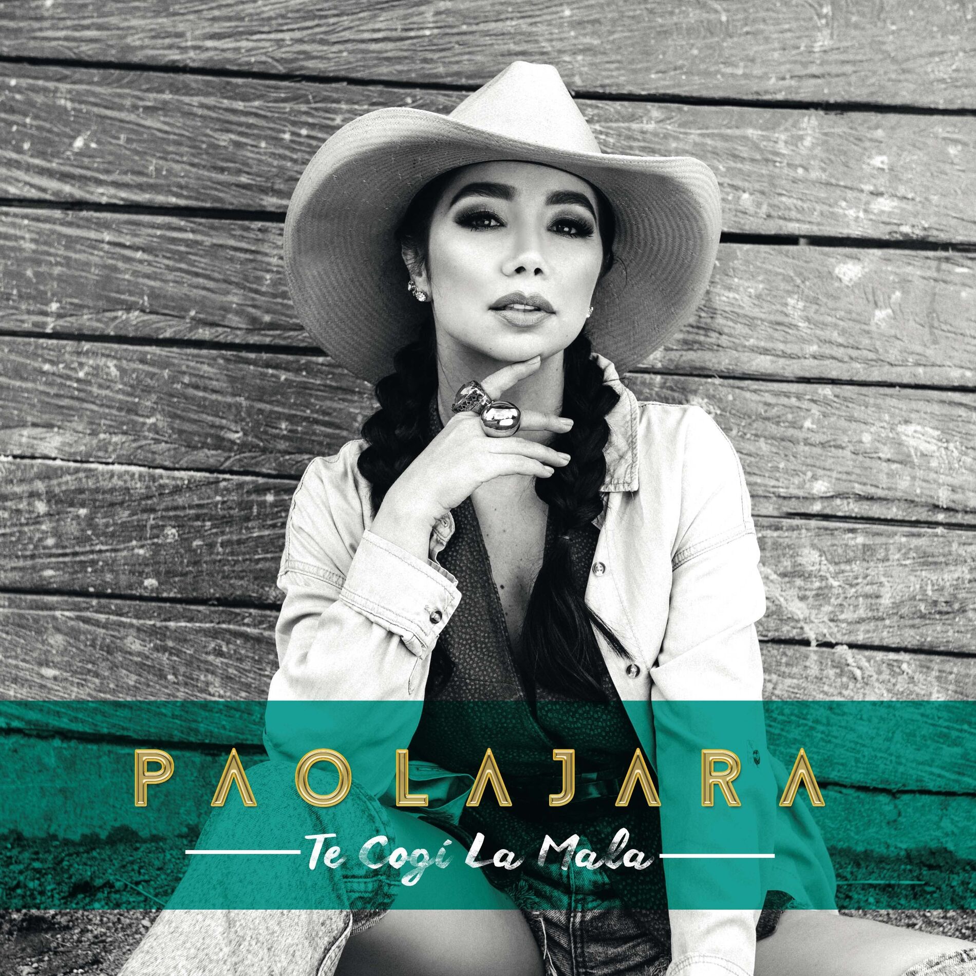 Album cover of Te Cogí la Mala