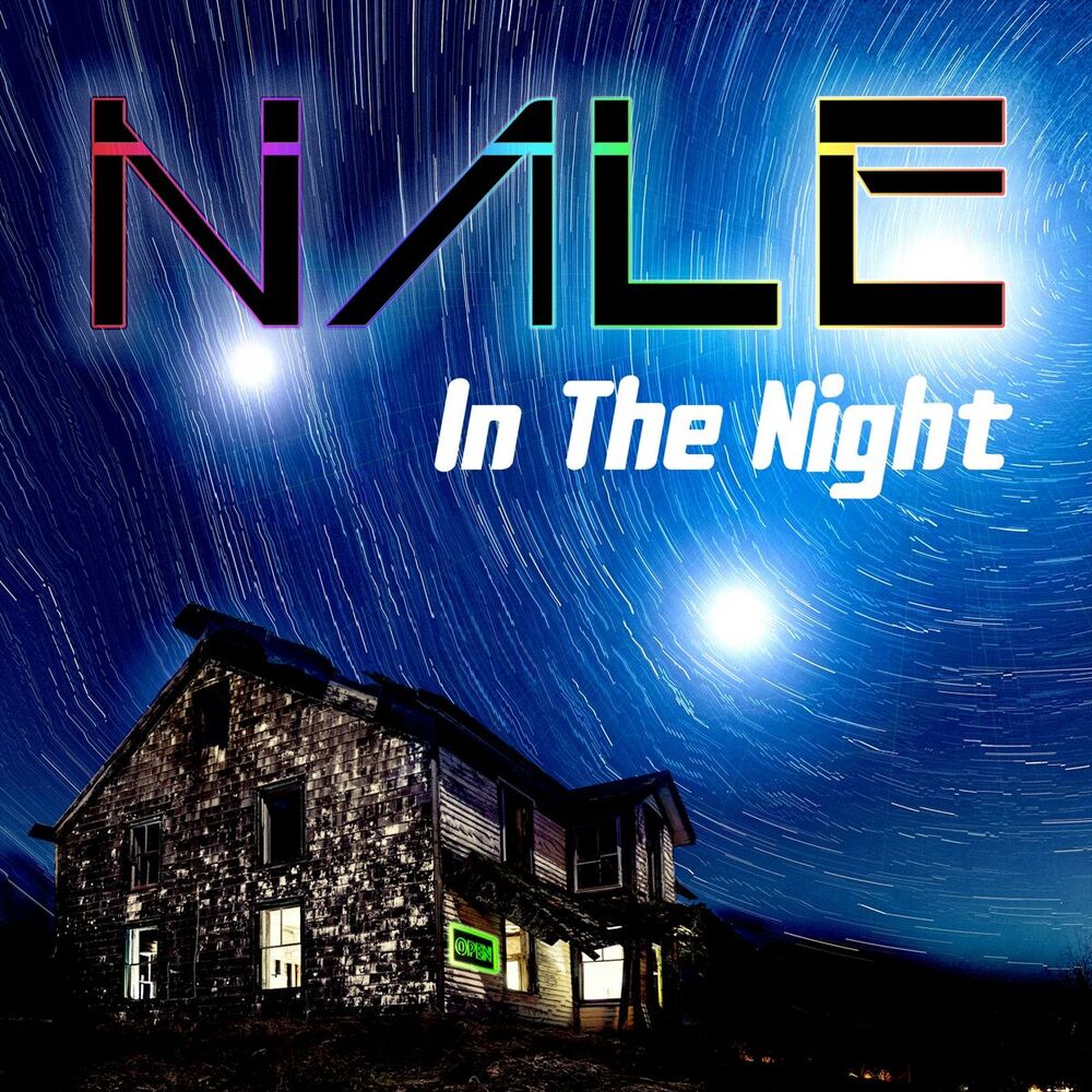 Picture of In the Night