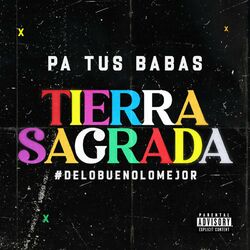 Cover of Pa' Tus Babas