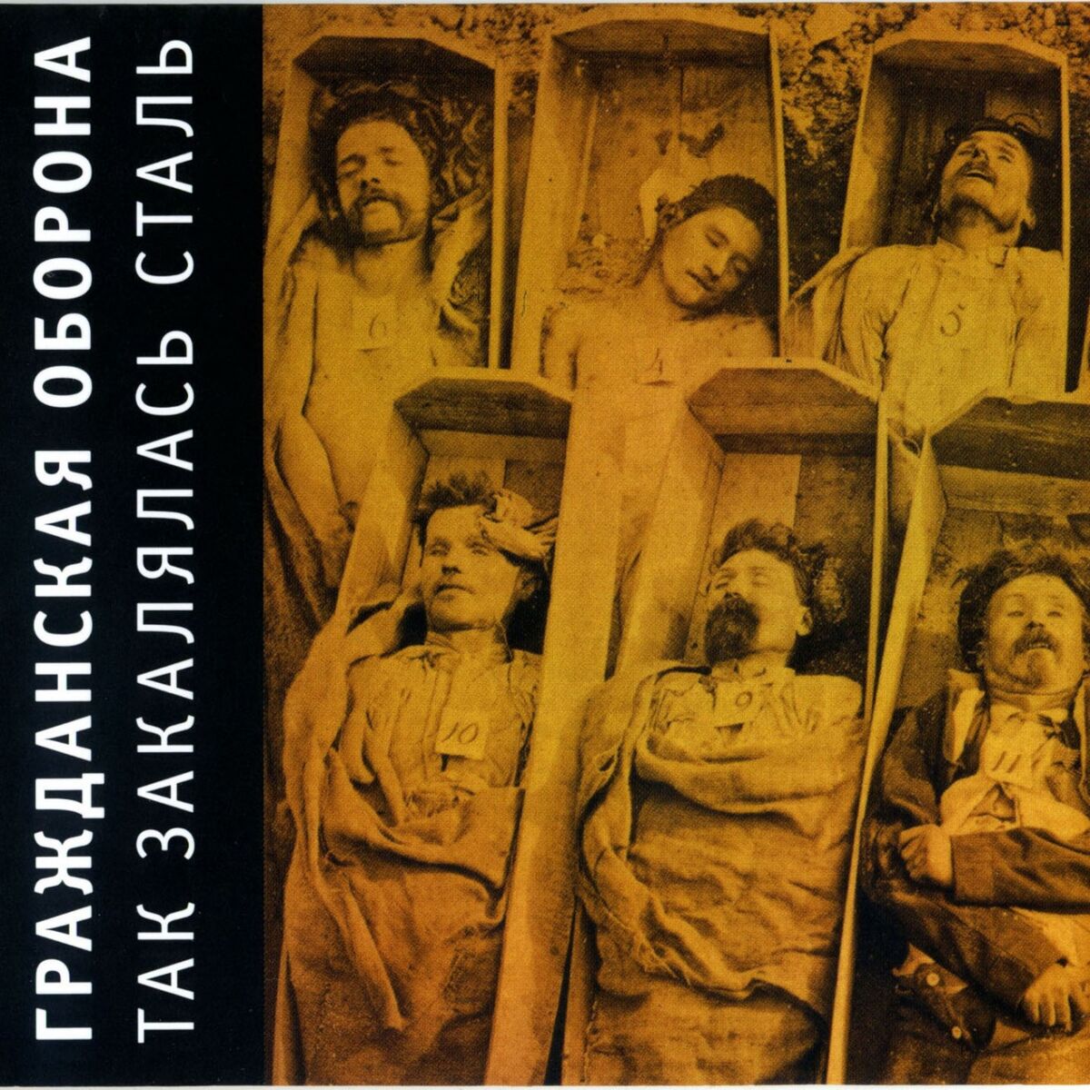 Album cover of Так закалялась сталь
