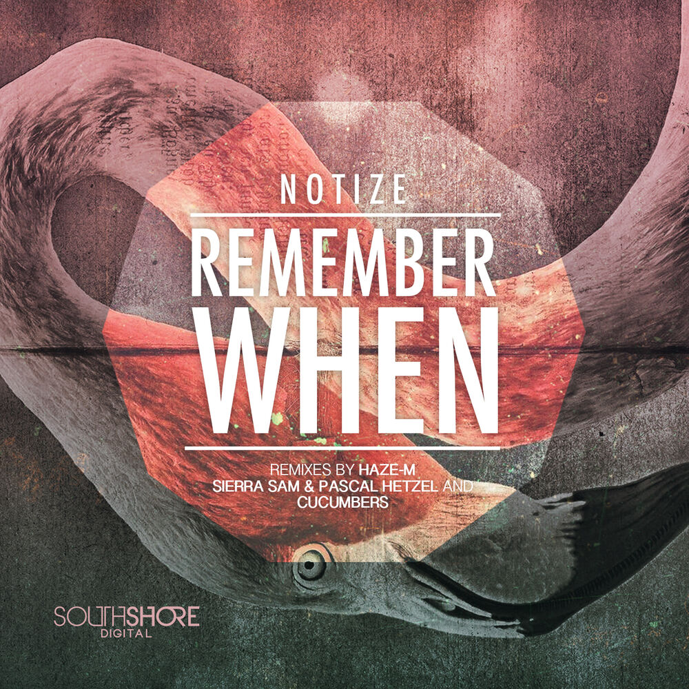 Picture of Remember When