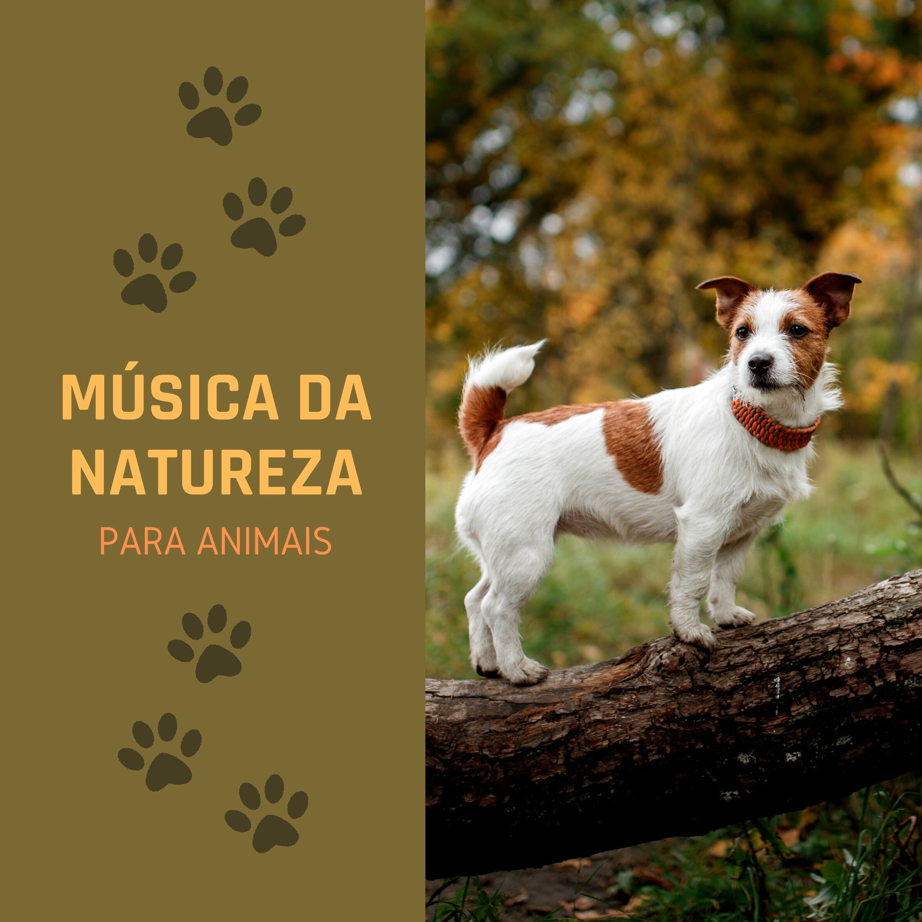 Album cover of Música da Natureza para Animais: Sons da Natureza para Acalmar a Ansiedade de Separação dos Animais e Meditar com Seu Animal de Es