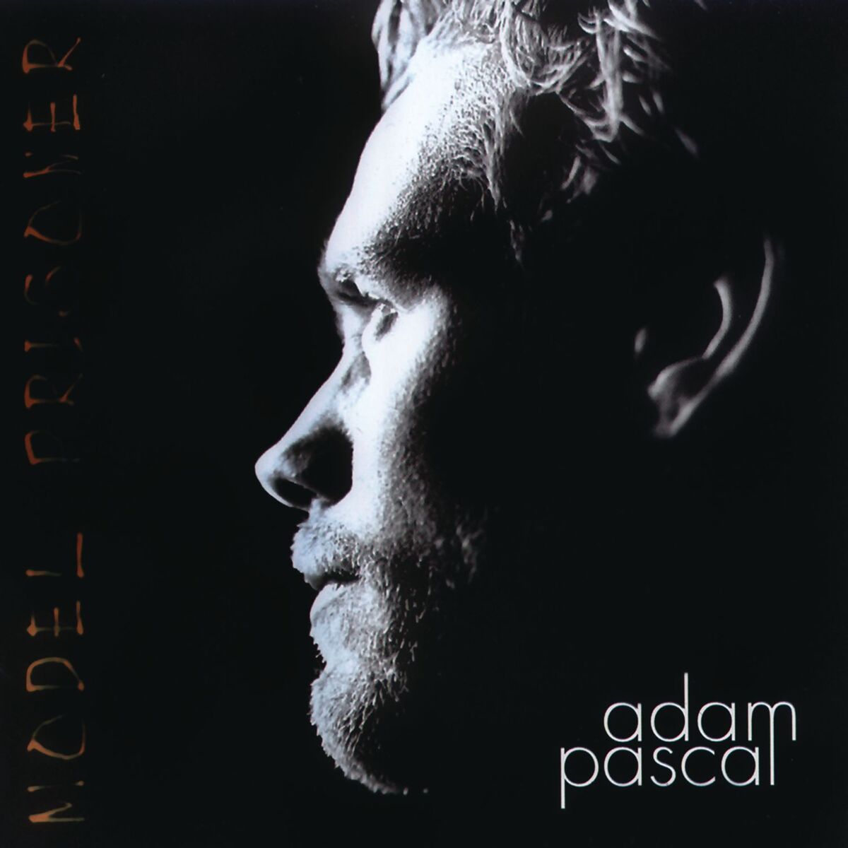 Album cover of Model Prisoner