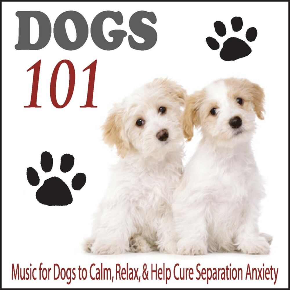 Picture of Dogs 101: Music for Dogs to Calm, Relax, & Help Cure Separation Anxiety