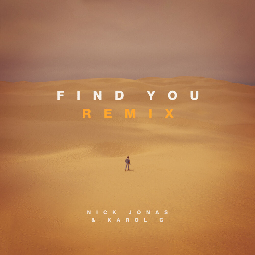 Picture of Find You (Remix)