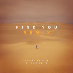 Cover of Find You (Remix)