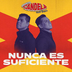 Cover of Nunca Es Suficiente