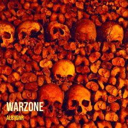 Cover of Warzone