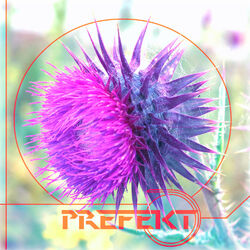 Cover of Martini