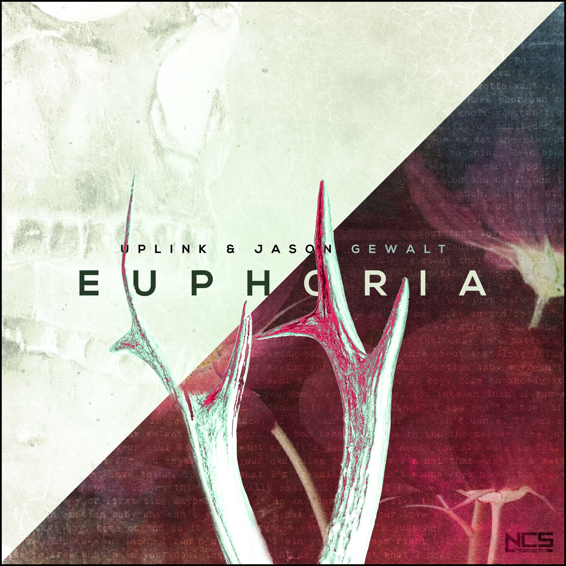 Album cover of Euphoria
