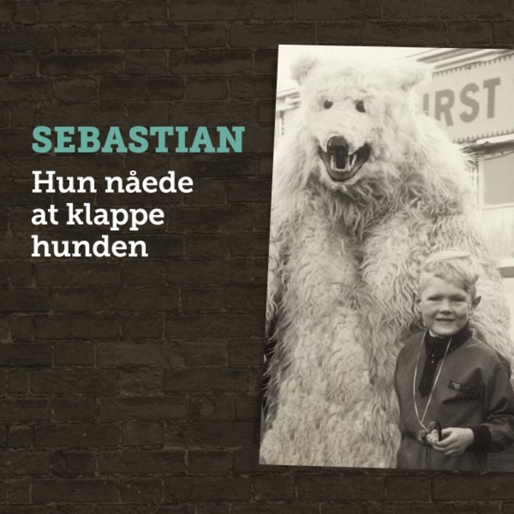 Picture of Hun Nåede at Klappe Hunden