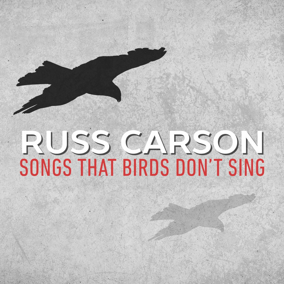 Album cover of Songs That Birds Don't Sing