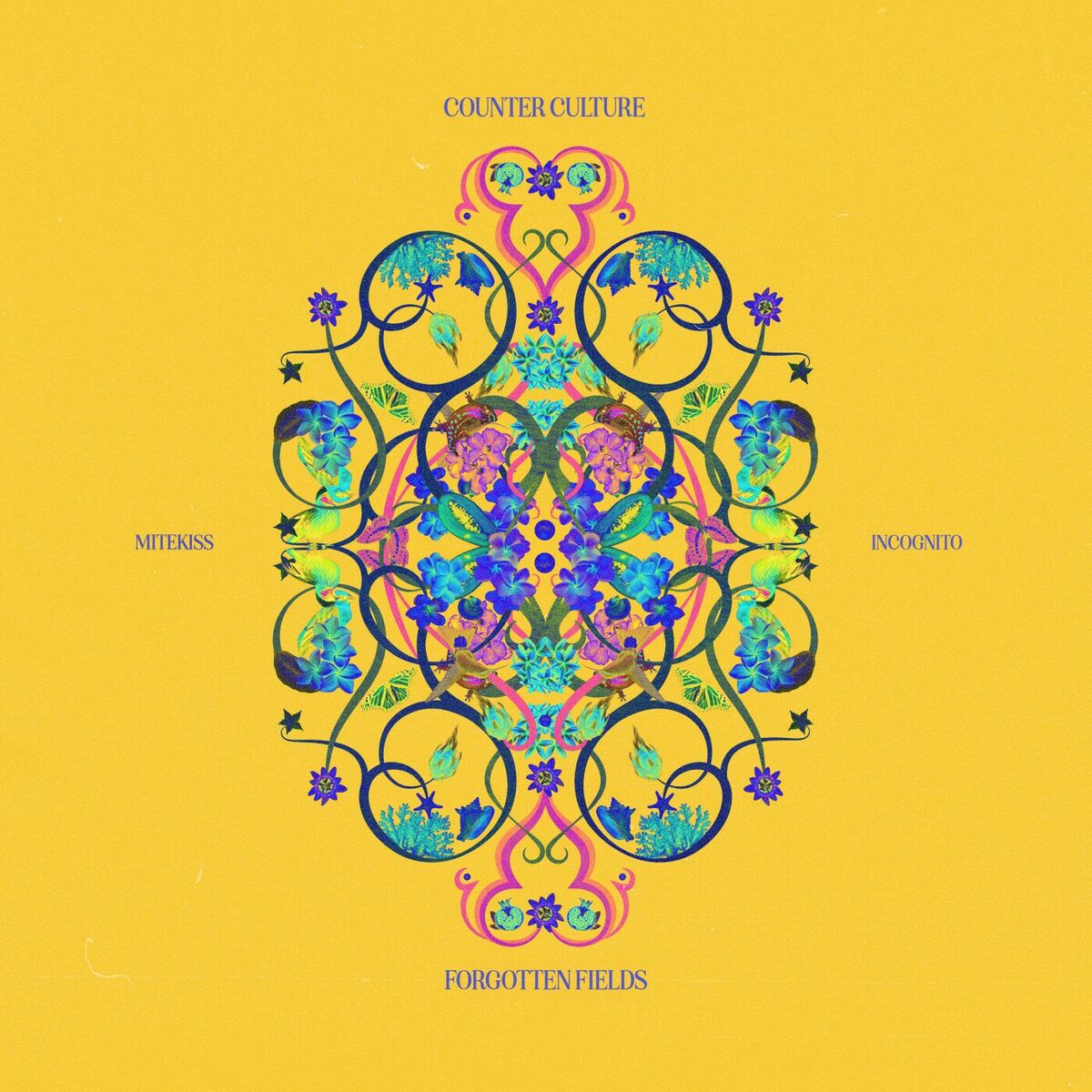 Album cover of Forgotten Fields