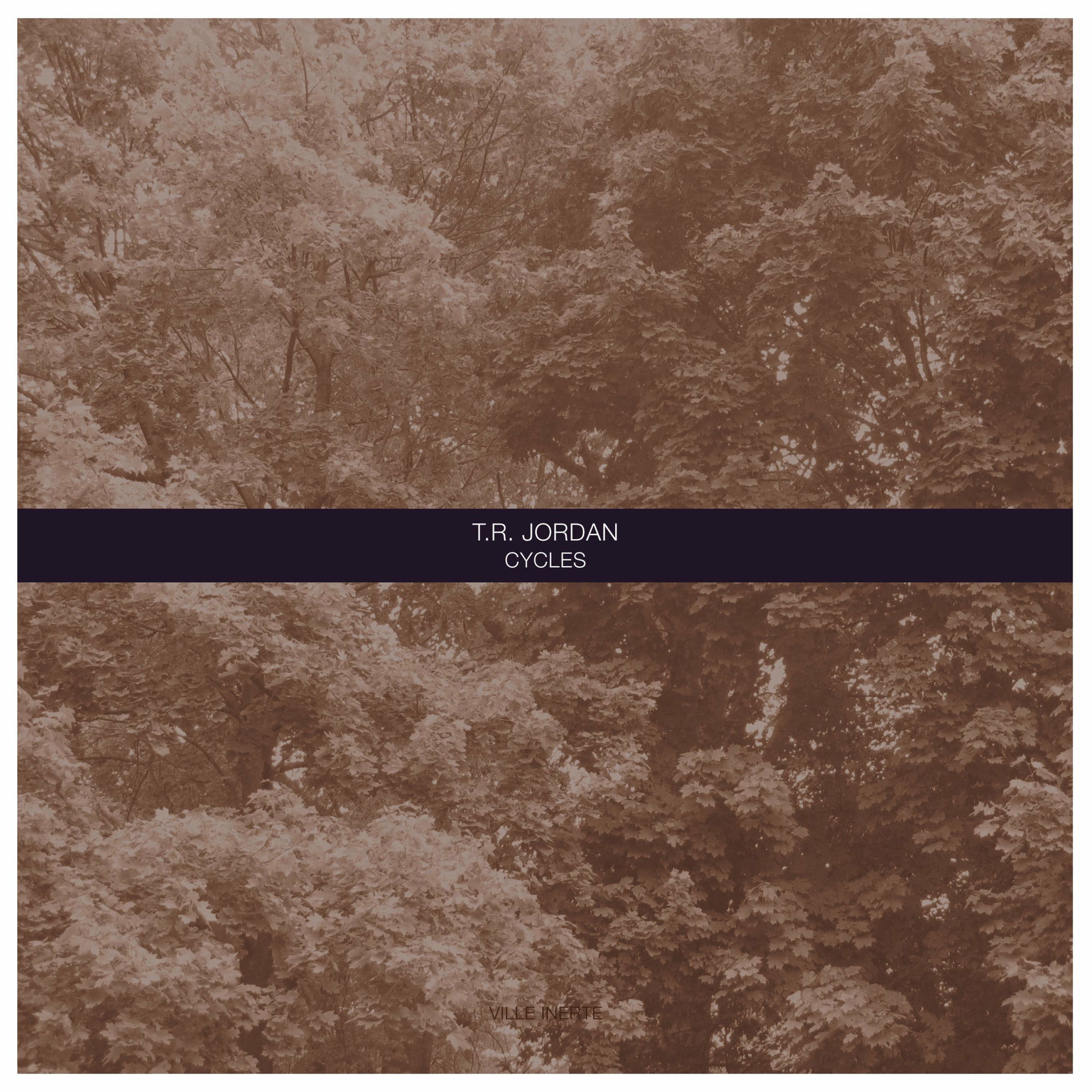 Album cover of Cycles