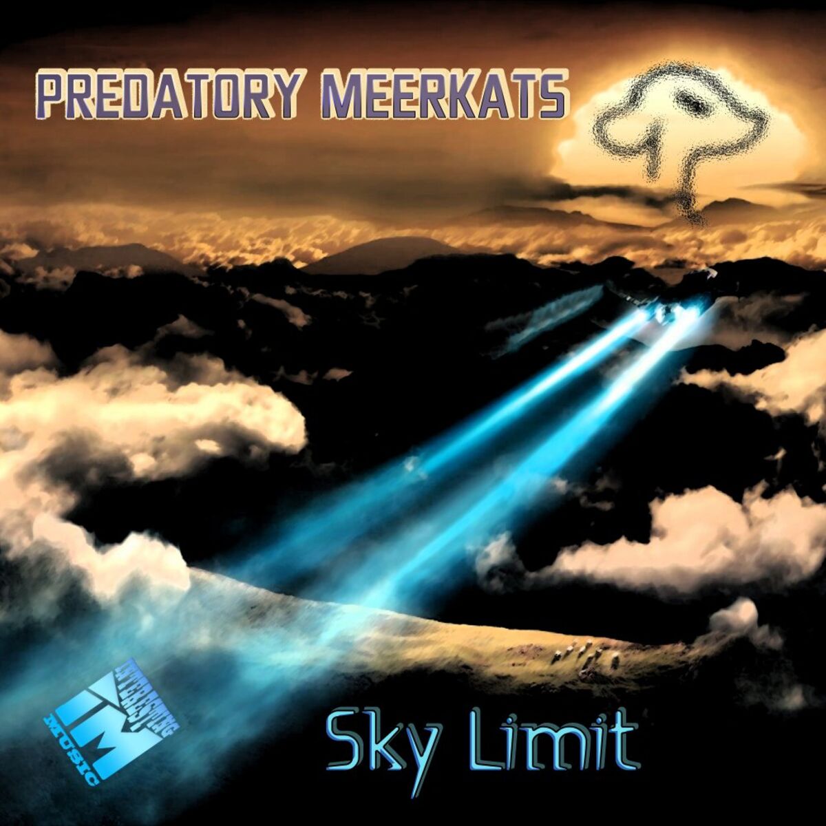Album cover of Sky Limit