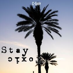 Cover of Stay Toxic
