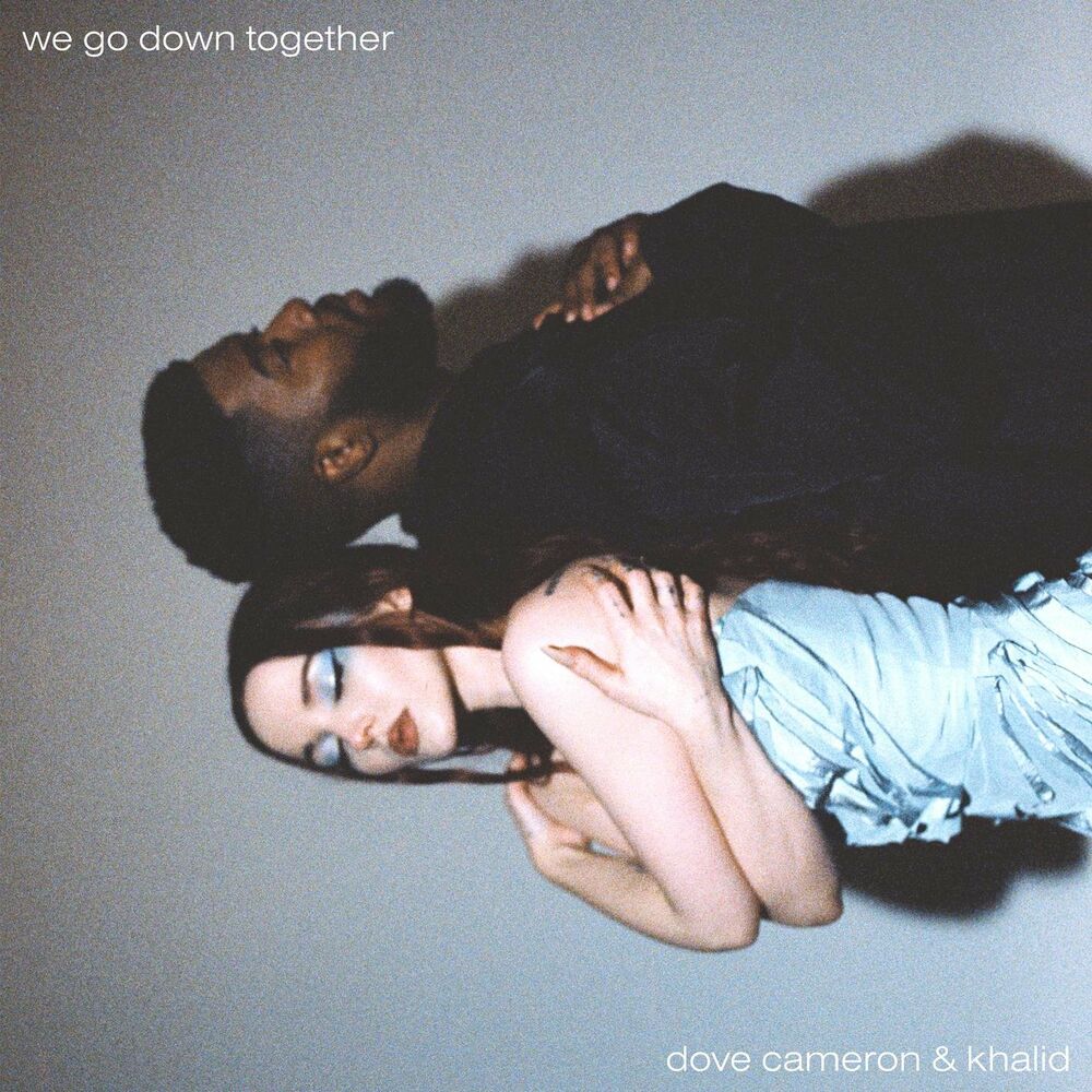 Picture of We Go Down Together