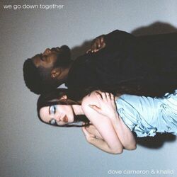 Cover of We Go Down Together