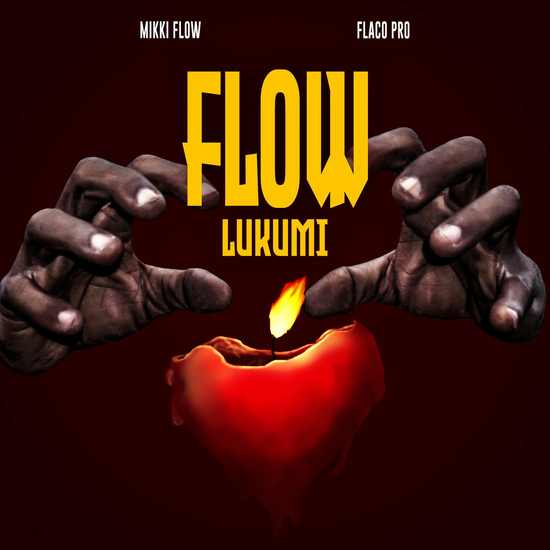 Album cover of FLOW LUKUMI
