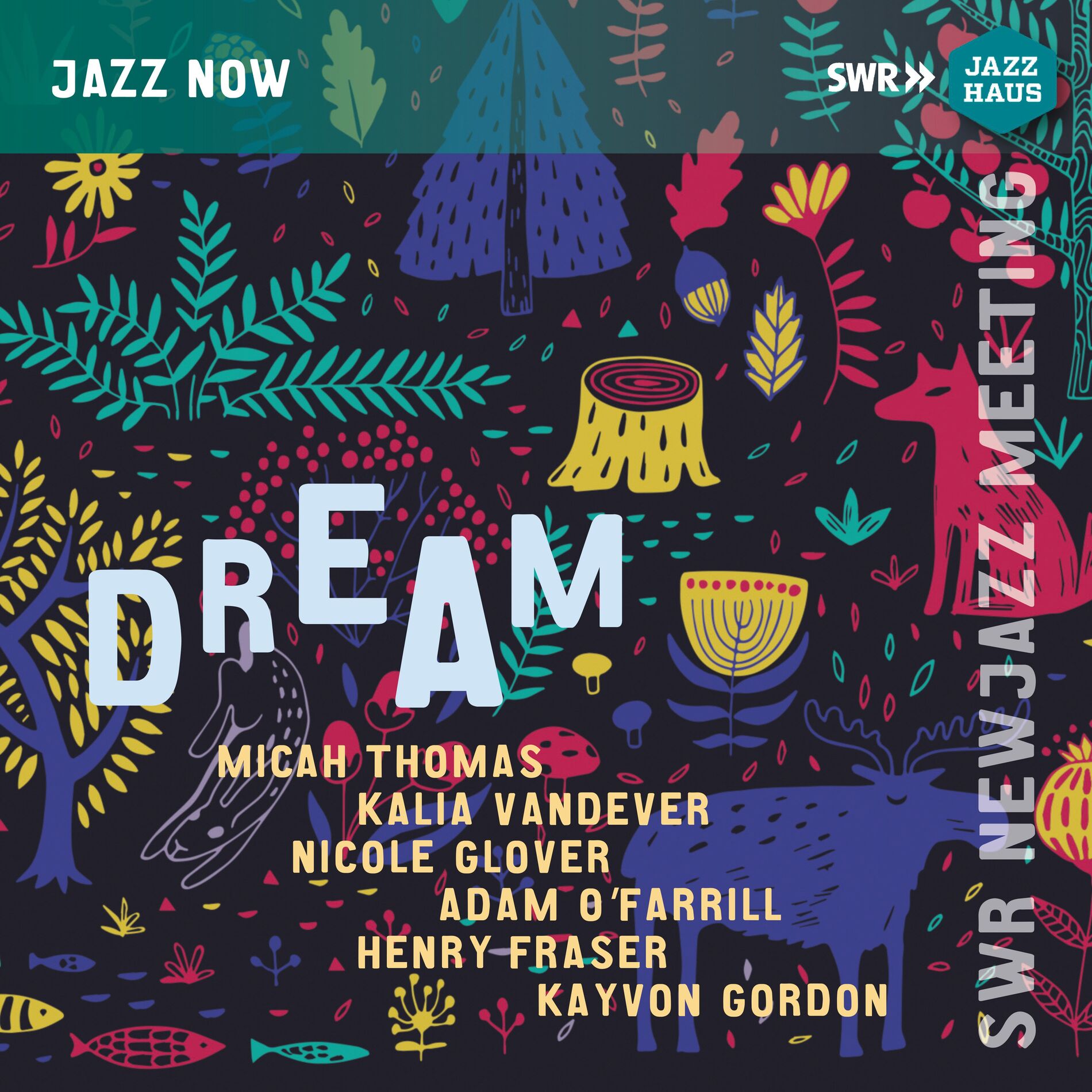 Album cover of Dream