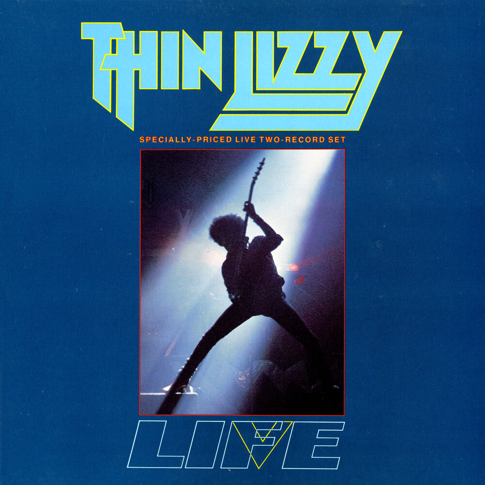 Picture of Life (Live Album)
