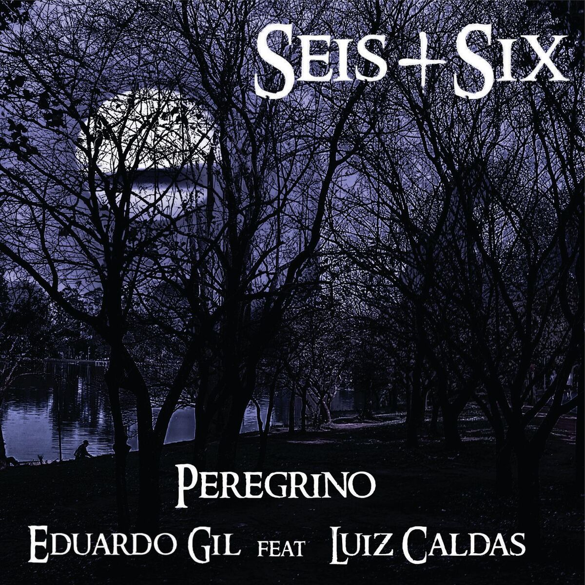 Album cover of Peregrino
