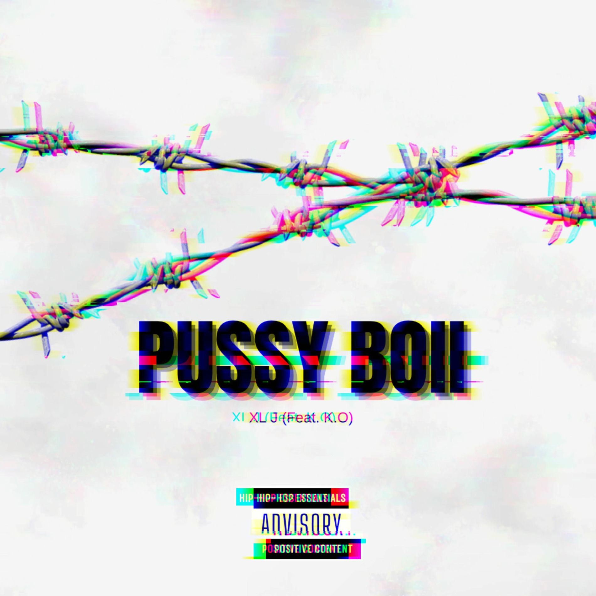 Album cover of Pussy Boii