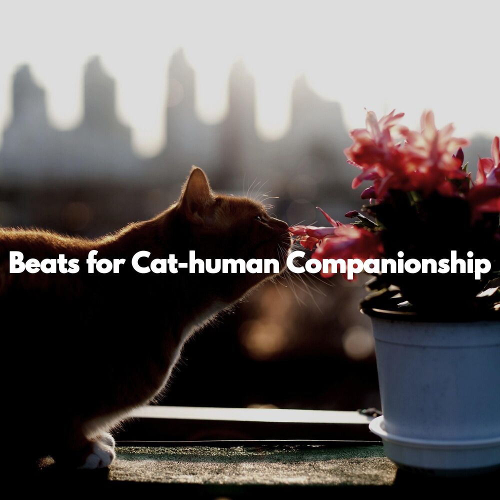 Picture of Beats for Cat-human Companionship
