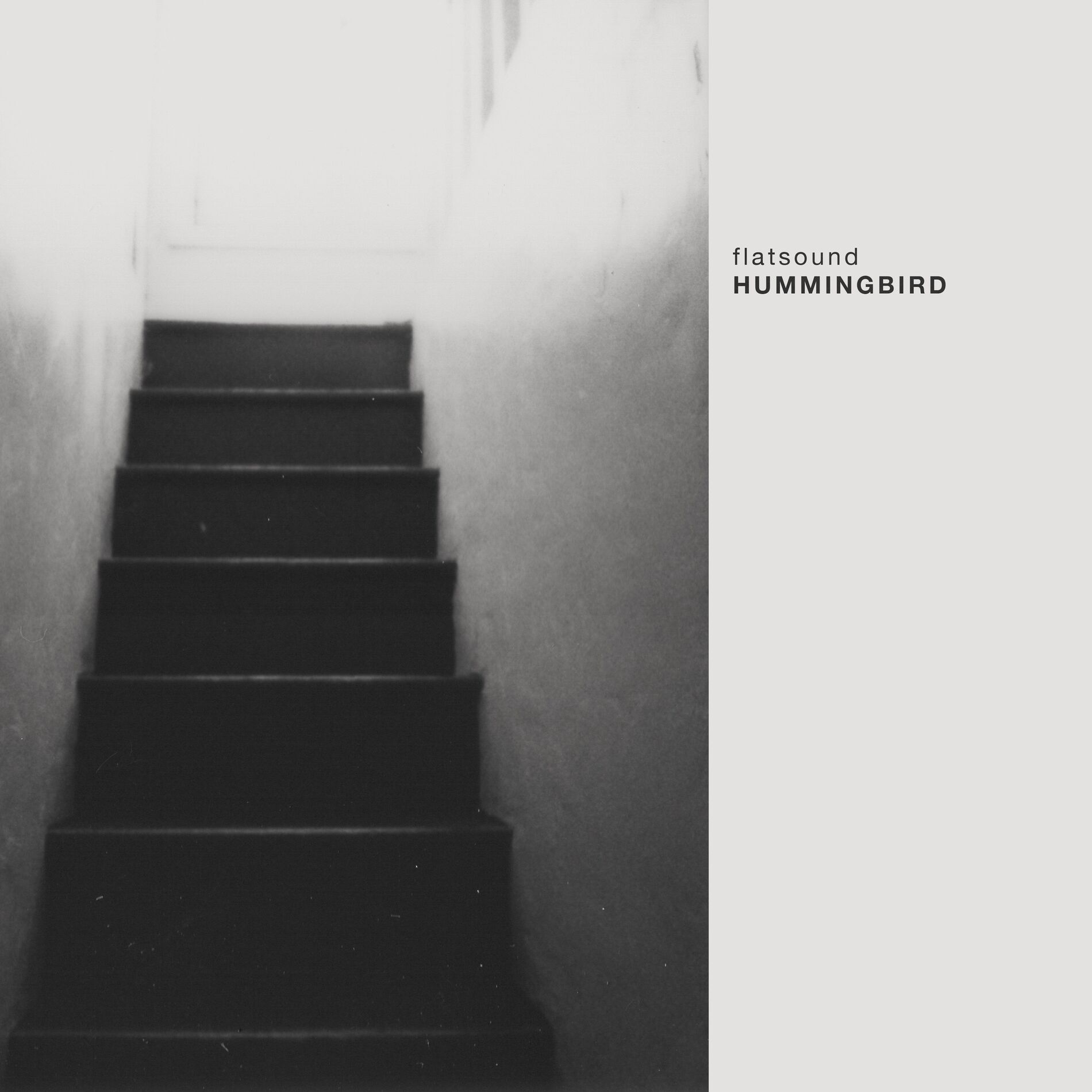 Album cover of Hummingbird