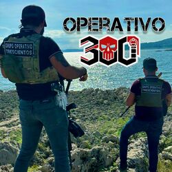 Cover of Operativo 300