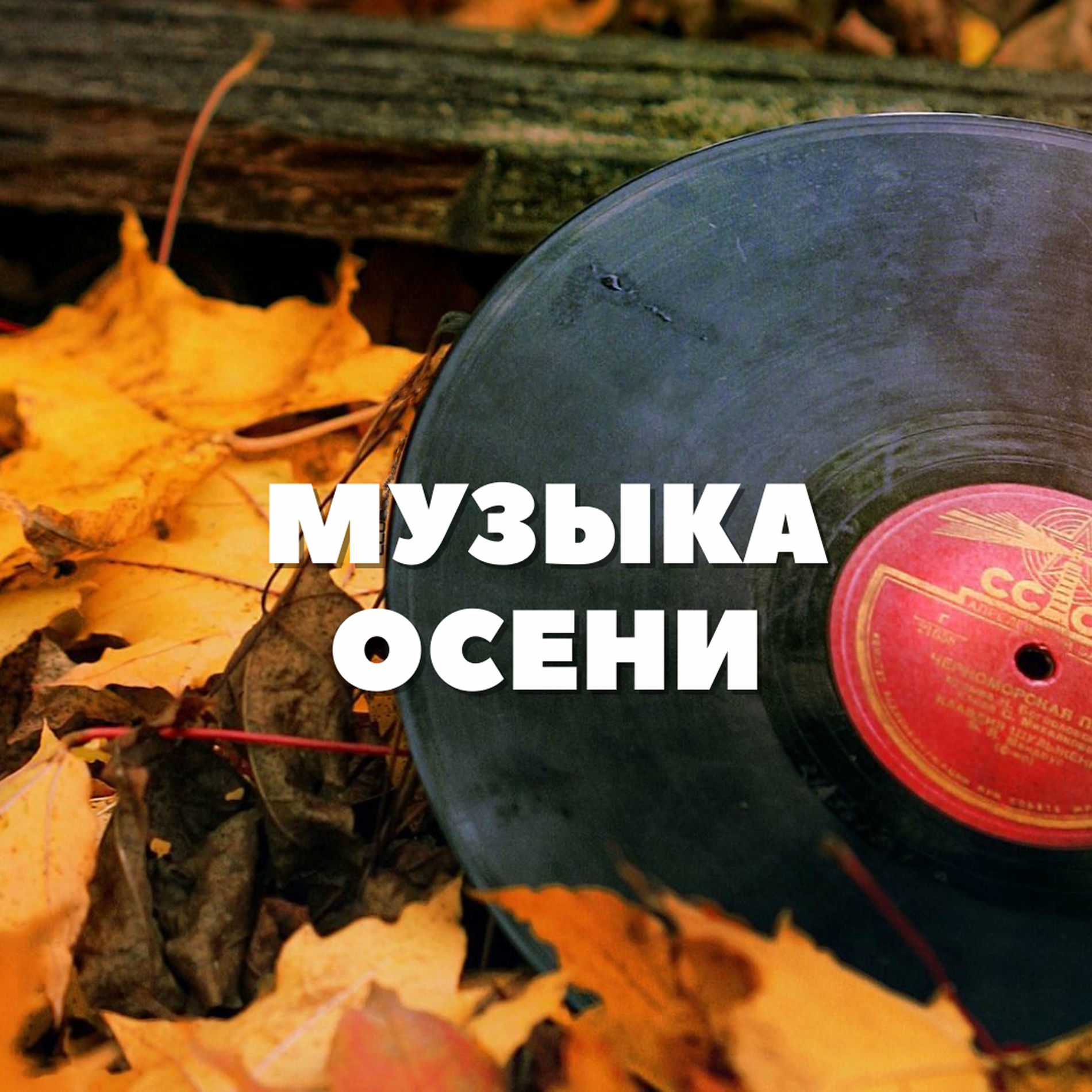 Album cover of Музыка осени