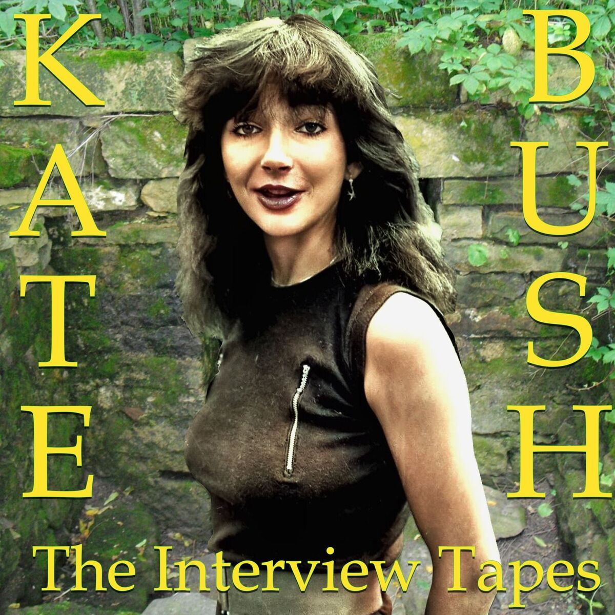 Album cover of The Interview Tapes
