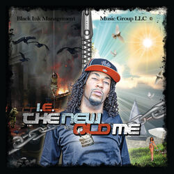 Cover of The New Old Me